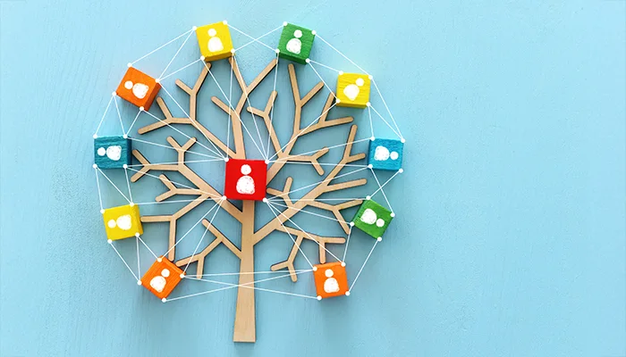 Tyylitellyn puun oksilla on värikkäitä kuutioita, joissa on yksinkertaiset ihmishahmojen siluetit (ikonit). Valkoiset langat tai viivat yhdistävät kaikki kuutiot toisiinsa ja puun keskellä olevaan punaiseen kuutioon, symboloiden verkostoa, yhteistyötä tai asiakaspalautteen keruun kokonaisvaltaisuutta.